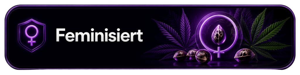 Cansam-Wiki | Feminisiert