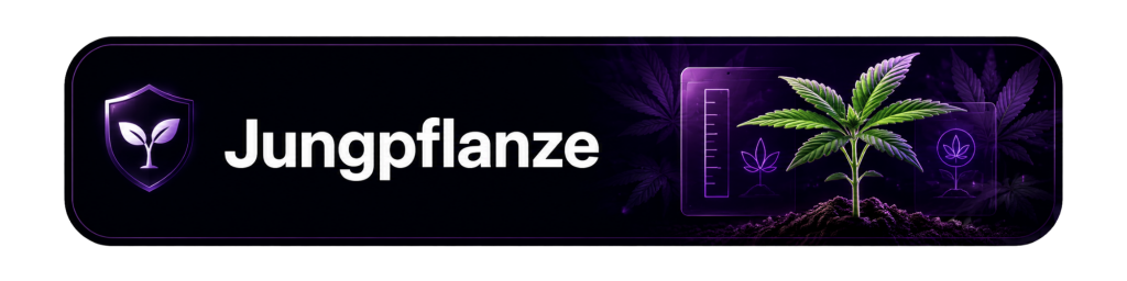 Cansam-Wiki | Jungpflanze