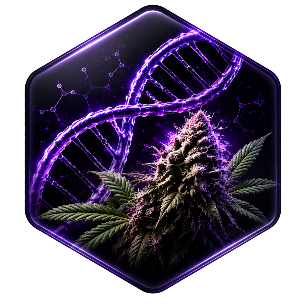 Cansam-Wiki | Genetik