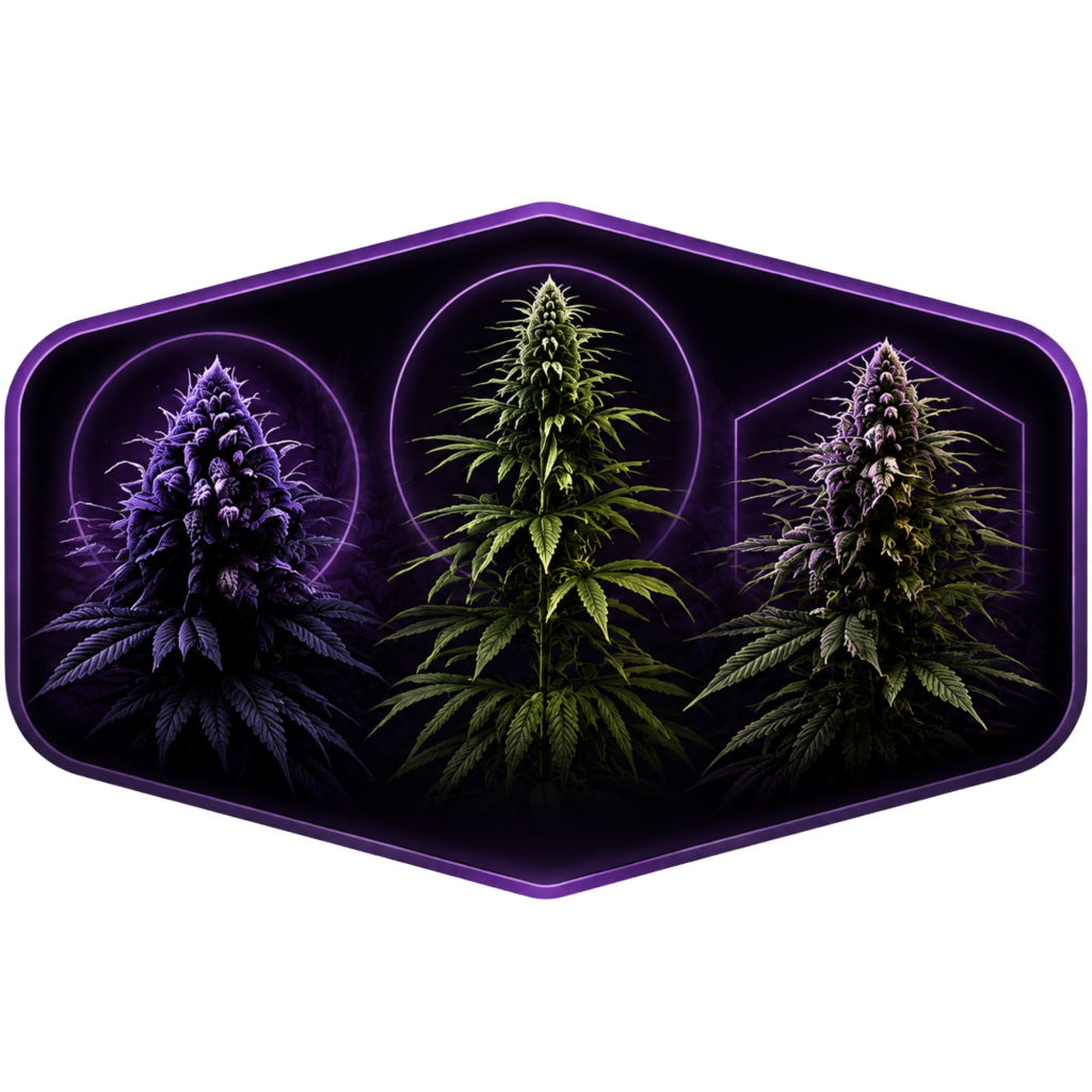 Cansam-Wiki | Indica/ Sativa/ Hybrid