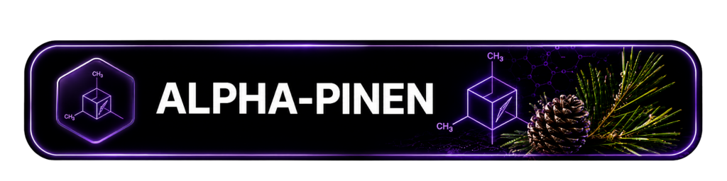 - Alpha-Pinen | Der Duft eines frischen Nadelwaldes -