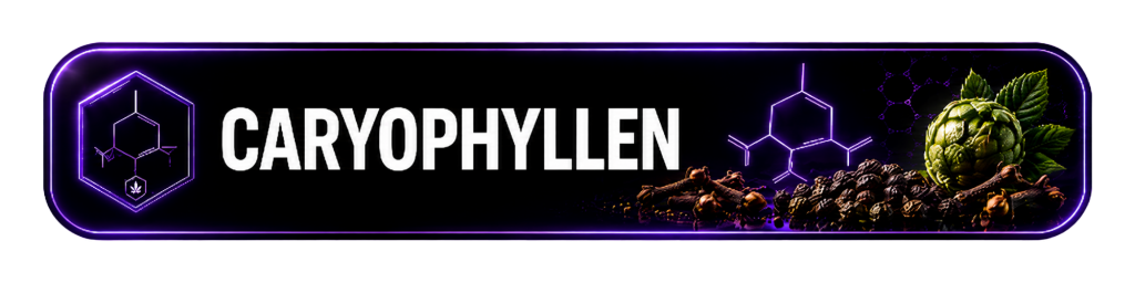- Caryophyllen | Pfeffer, Nelken und eine chemische Besonderheit -