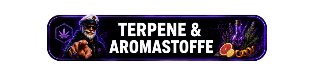 Terpene & Aromastoffe | Cap´n klärt auf